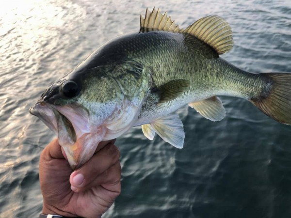 hideup 永野総一朗 ブログ写真 2019/07/26