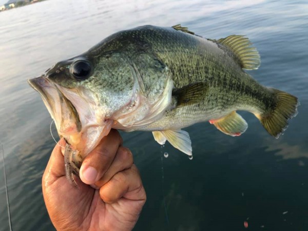 hideup 永野総一朗 ブログ写真 2019/07/26