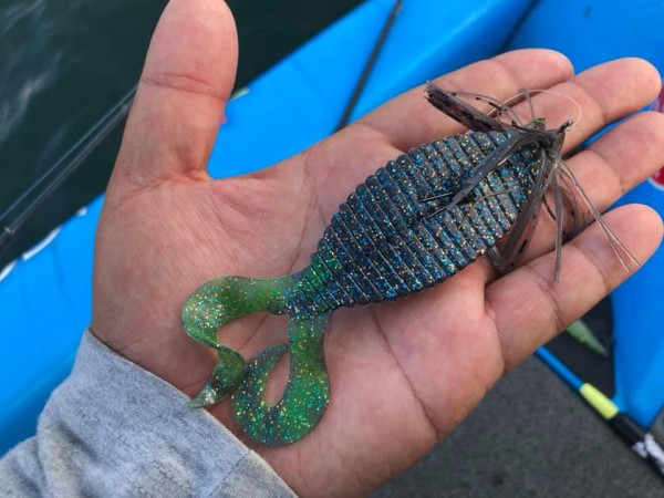 hideup 永野総一朗 ブログ写真 2019/07/29