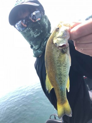 hideup 永野総一朗 ブログ写真 2019/08/01