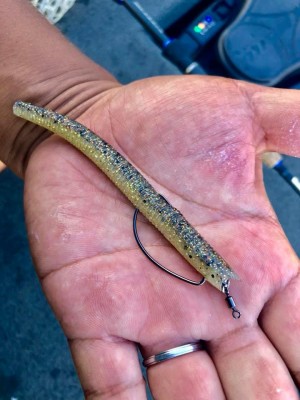 hideup 永野総一朗 ブログ写真 2019/08/01