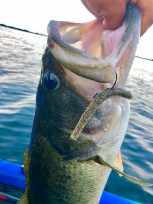 hideup 永野総一朗 ブログ写真 2019/08/01