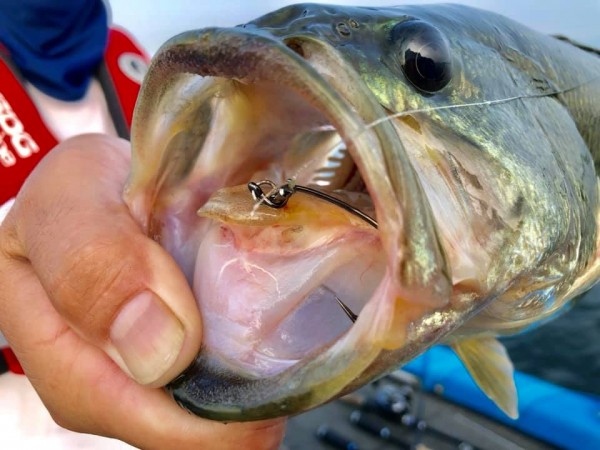 hideup 永野総一朗 ブログ写真 2019/08/02