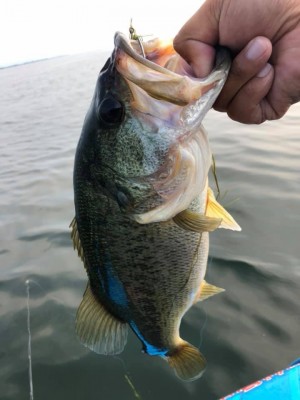 hideup 永野総一朗 ブログ写真 2019/08/02