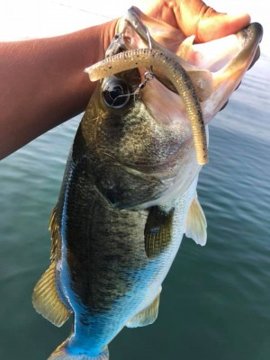 hideup 永野総一朗 ブログ写真 2019/08/02