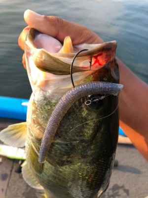 hideup 永野総一朗 ブログ写真 2019/08/02