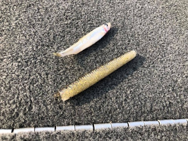 hideup 永野総一朗 ブログ写真 2019/08/05