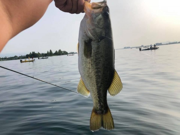 hideup 永野総一朗 ブログ写真 2019/08/05