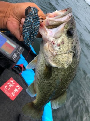 hideup 永野総一朗 ブログ写真 2019/08/09