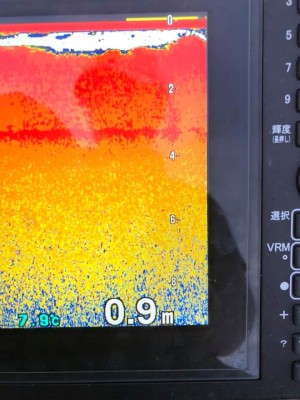 hideup 永野総一朗 ブログ写真 2019/08/12