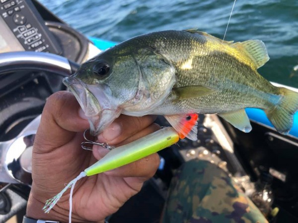 hideup 永野総一朗 ブログ写真 2019/08/12