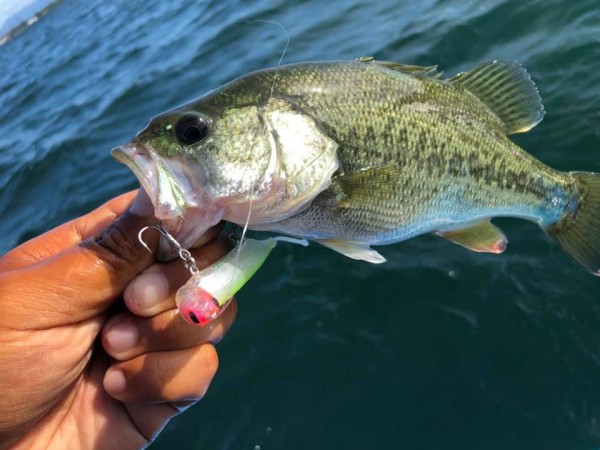 hideup 永野総一朗 ブログ写真 2019/08/12