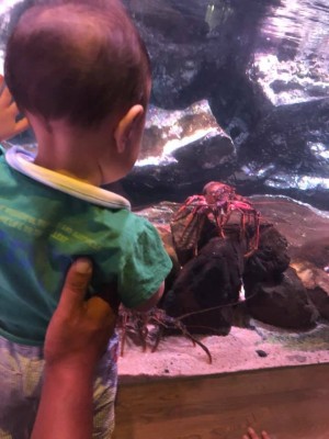 hideup 永野総一朗 ブログ写真 2019/08/15