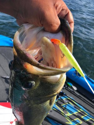 hideup 永野総一朗 ブログ写真 2019/08/15