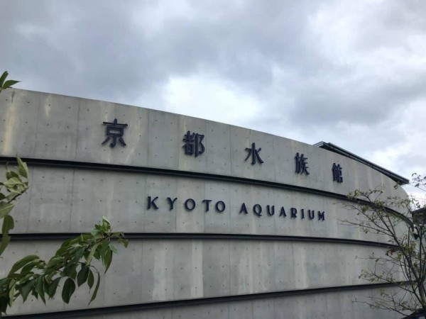 hideup 永野総一朗 ブログ写真 2019/08/15