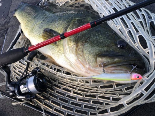 hideup 永野総一朗 ブログ写真 2019/08/15