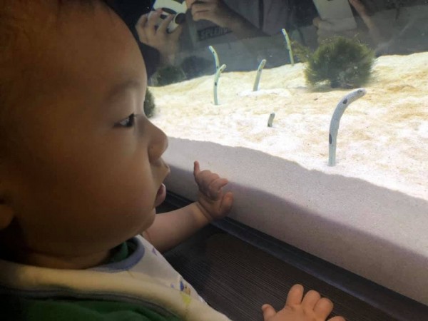 hideup 永野総一朗 ブログ写真 2019/08/15