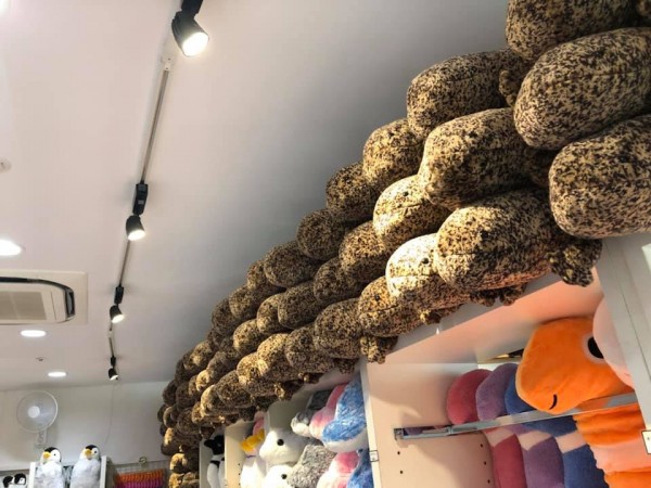 hideup 永野総一朗 ブログ写真 2019/08/15