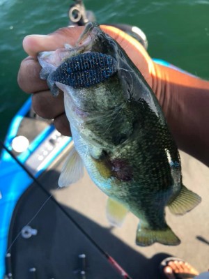 hideup 永野総一朗 ブログ写真 2019/08/15