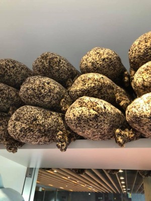 hideup 永野総一朗 ブログ写真 2019/08/15