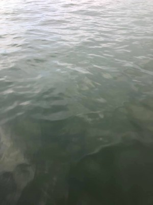 hideup 永野総一朗 ブログ写真 2019/08/17