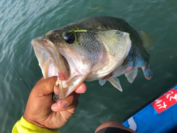 hideup 永野総一朗 ブログ写真 2019/08/19