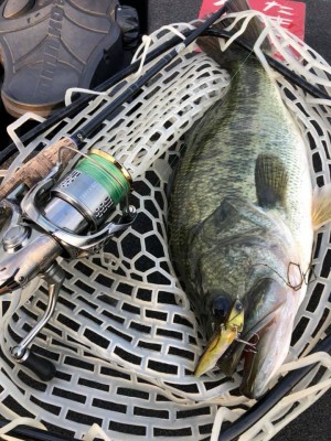 hideup 永野総一朗 ブログ写真 2019/08/25