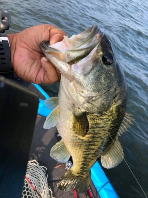 hideup 永野総一朗 ブログ写真 2019/08/25