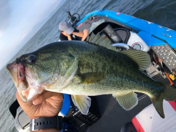 hideup 永野総一朗 ブログ写真 2019/08/25