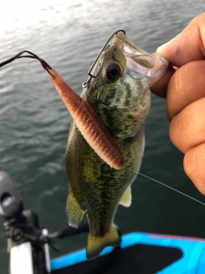 hideup 永野総一朗 ブログ写真 2019/08/25