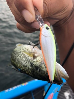 hideup 永野総一朗 ブログ写真 2019/09/03