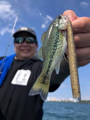 hideup 永野総一朗 ブログ写真 2019/09/04