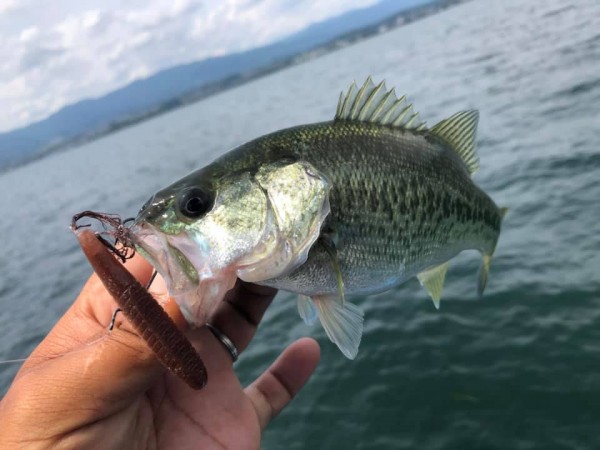 hideup 永野総一朗 ブログ写真 2019/09/07