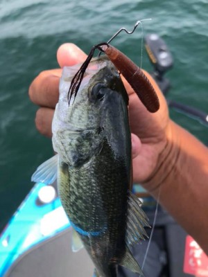 hideup 永野総一朗 ブログ写真 2019/09/07