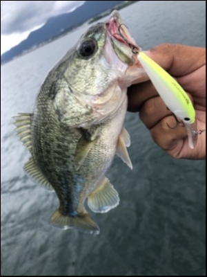 hideup 永野総一朗 ブログ写真 2019/09/07