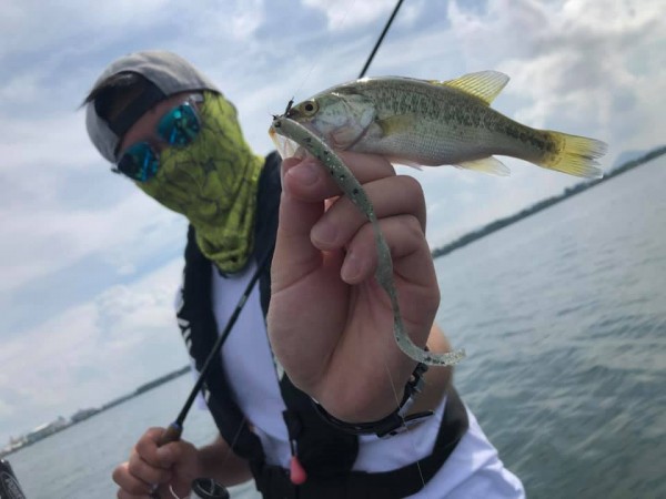 hideup 永野総一朗 ブログ写真 2019/09/07