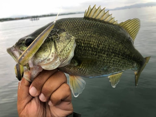 hideup 永野総一朗 ブログ写真 2019/09/14