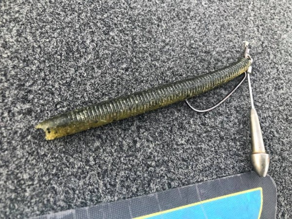 hideup 永野総一朗 ブログ写真 2019/09/16