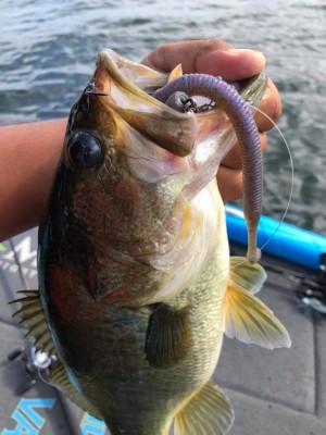 hideup &aelig;&deg;&cedil;&eacute;&ccedil;&middot;&auml;&cedil;&aelig; &atilde;&atilde;&shy;&atilde;&deg;&aring;&ccedil; 2019/09/16