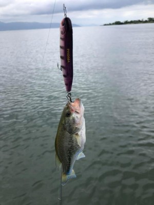 hideup 永野総一朗 ブログ写真 2019/09/18