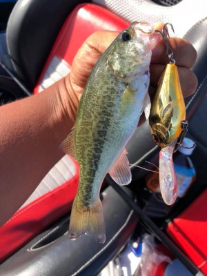 hideup 永野総一朗 ブログ写真 2019/09/18