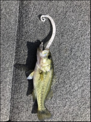 hideup 永野総一朗 ブログ写真 2019/09/18