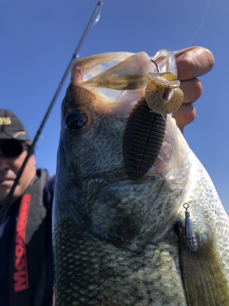 hideup 永野総一朗 ブログ写真 2019/09/20