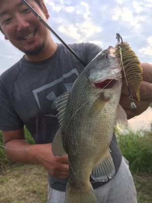 hideup 永野総一朗 ブログ写真 2019/10/02