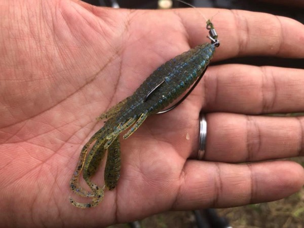 hideup 永野総一朗 ブログ写真 2019/10/02