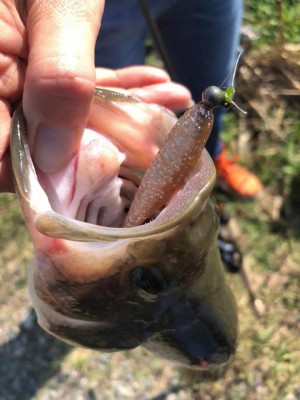 hideup 永野総一朗 ブログ写真 2019/10/02