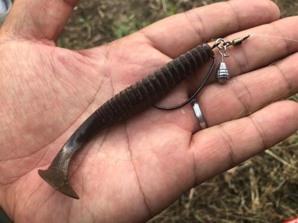 hideup 永野総一朗 ブログ写真 2019/10/02