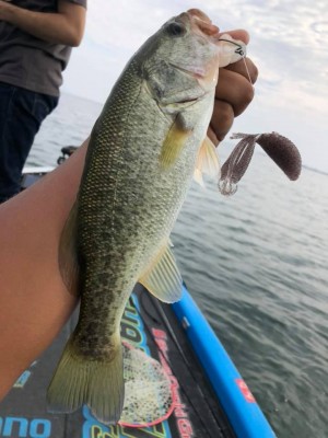 hideup 永野総一朗 ブログ写真 2019/10/03