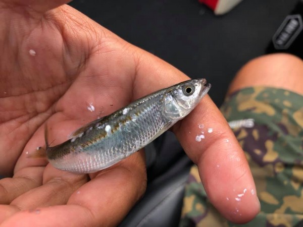 hideup 永野総一朗 ブログ写真 2019/10/03