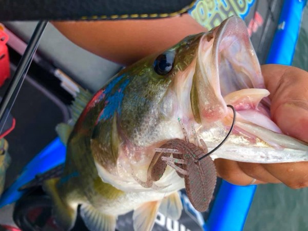 hideup 永野総一朗 ブログ写真 2019/10/03